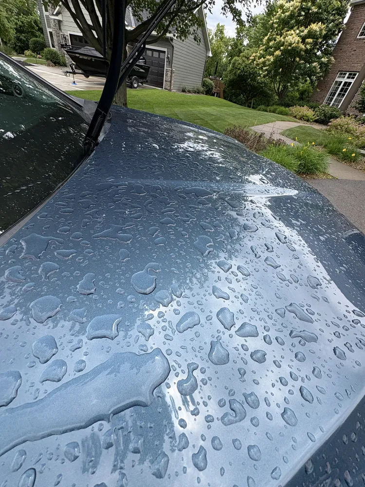 Water beading on a freshly waxed hood after an exterior detail