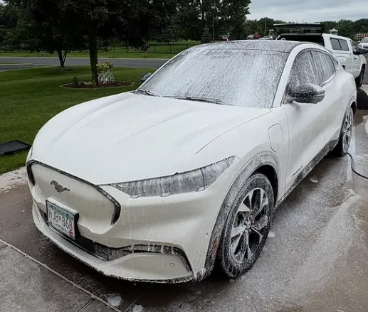 GrandVista bronco detail